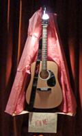 Fender Guitar